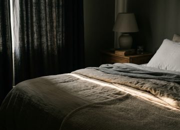 Do Bed Bugs Come Out During the Day? | Behavior Facts