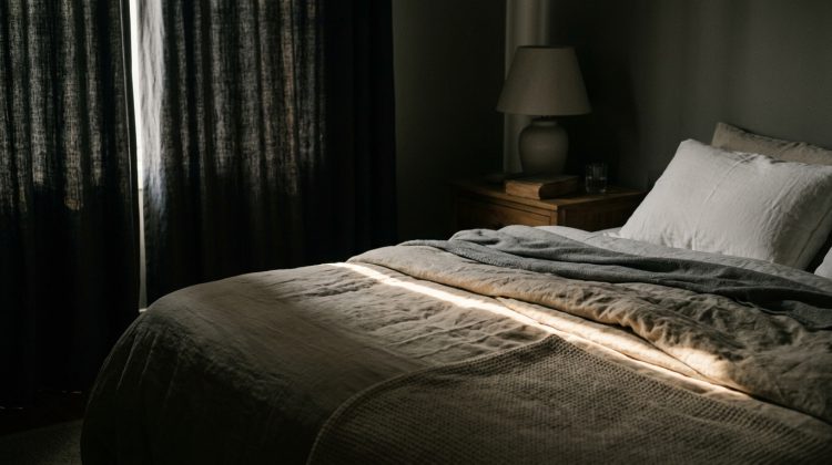 Bed bugs prefer nighttime but will absolutely feed during the day if conditions are right. Understand their feeding cycle and why daytime activity doesn