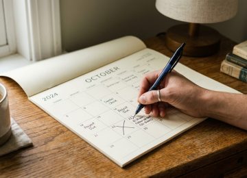 How Long Does It Take to Get Rid of Bed Bugs? | Timeline Guide